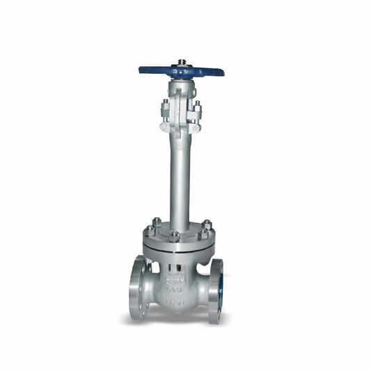 OUWEI CRYOGENIC GATE VALVE