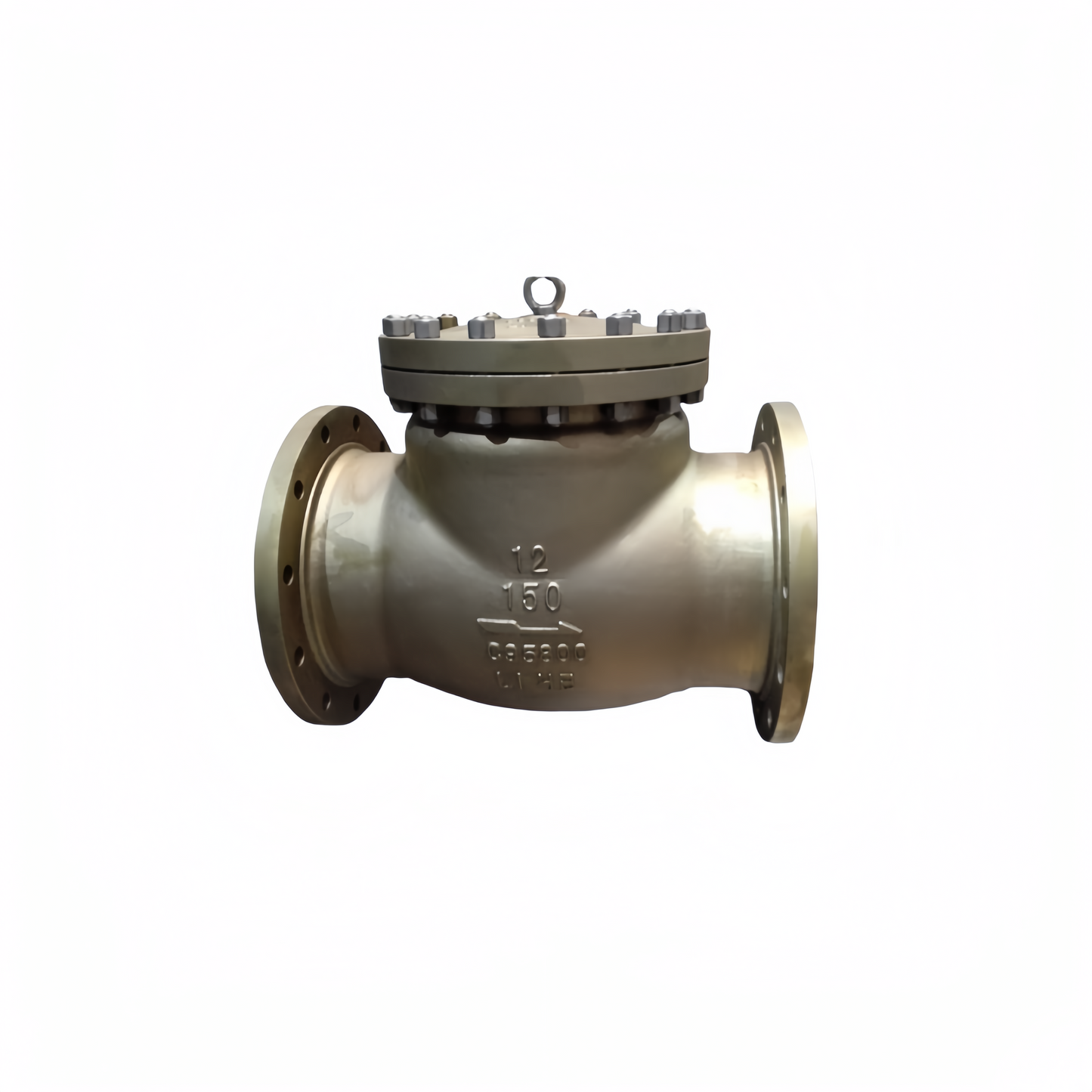 OUWEI Swing Type Check Valve